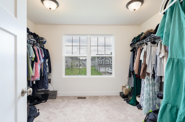 walk in closet featuring carpet flooring