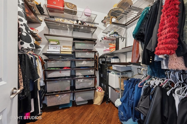 walk in closet with dark hardwood / wood-style flooring