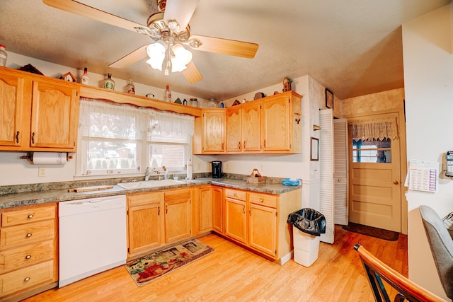 kitchen with sink, ceiling fan, white dishwasher, light hardwood / wood-style floors, and a textured ceiling