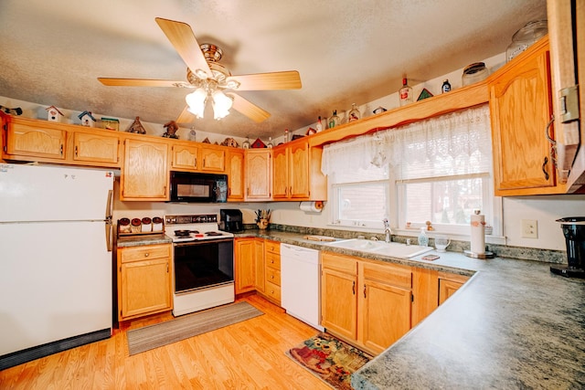 kitchen with sink, white appliances, a textured ceiling, and light wood-type flooring