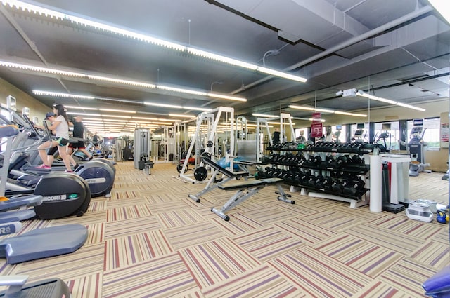 workout area with light carpet