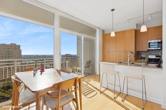 kitchen featuring expansive windows, appliances with stainless steel finishes, light hardwood / wood-style floors, and decorative backsplash