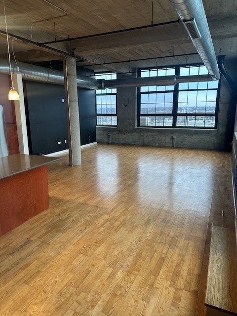 basement with hardwood / wood-style floors