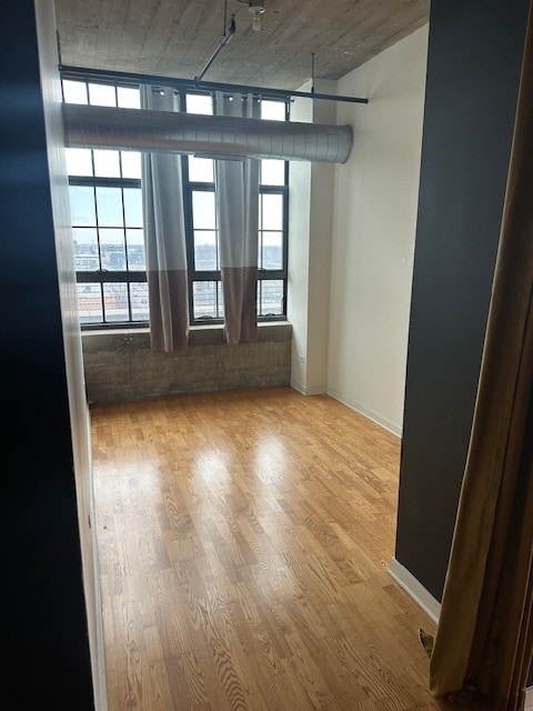 spare room featuring plenty of natural light and light wood-type flooring