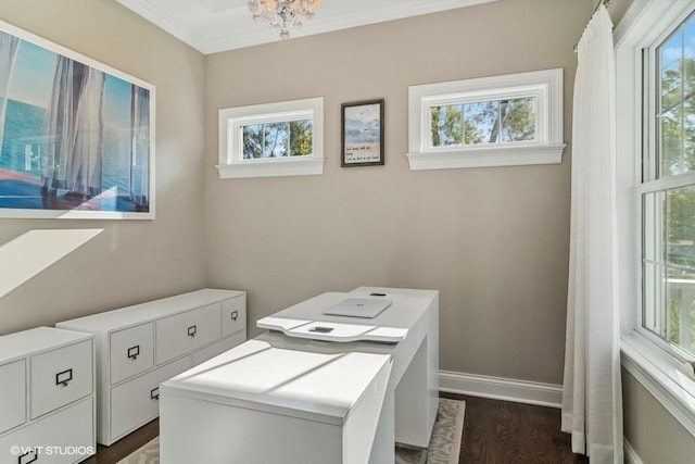 clothes washing area featuring crown molding and dark wood-type flooring