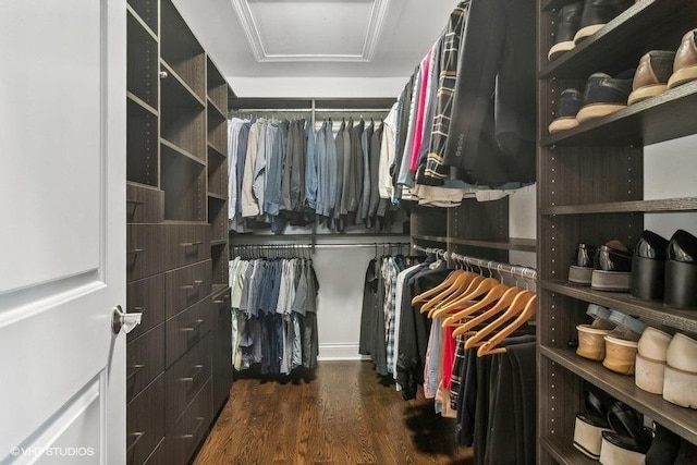 walk in closet featuring dark wood-type flooring