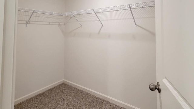 spacious closet with carpet flooring