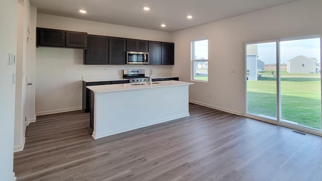 kitchen featuring hardwood / wood-style flooring, stainless steel appliances, an island with sink, and a wealth of natural light