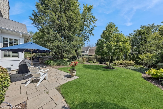 view of yard featuring a patio