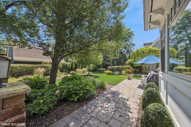 view of yard with a patio