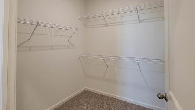 spacious closet featuring carpet flooring