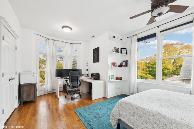 bedroom featuring multiple windows and wood-type flooring