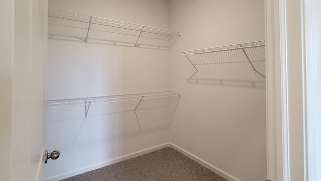 spacious closet with carpet floors