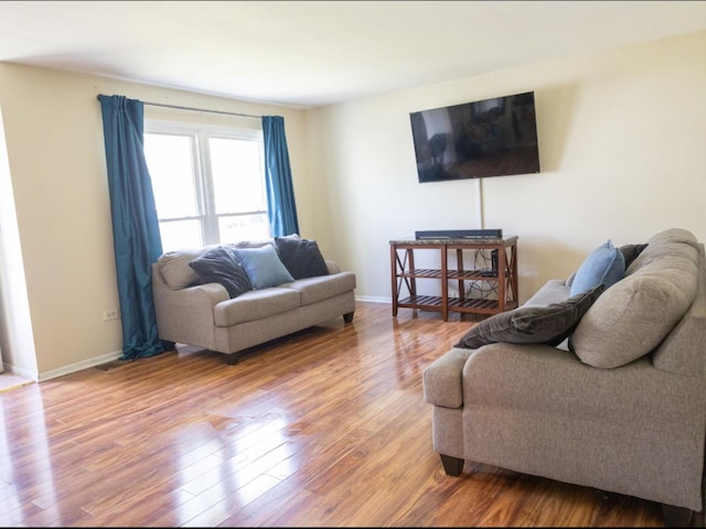 living room with hardwood / wood-style floors