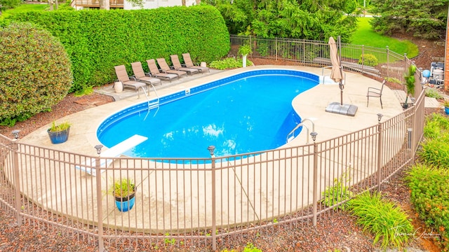 view of pool with a patio and a diving board