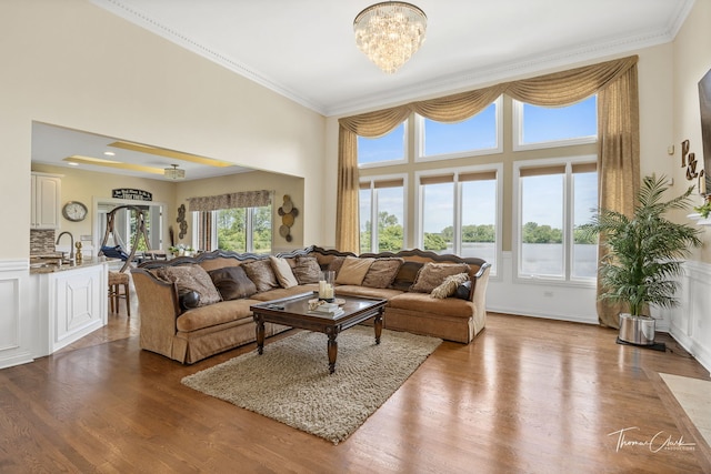 living room featuring ornamental molding, light hardwood / wood-style floors, and a wealth of natural light