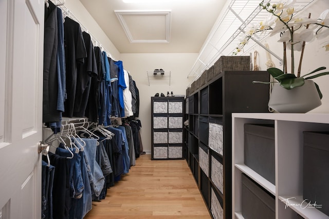 spacious closet with light hardwood / wood-style floors