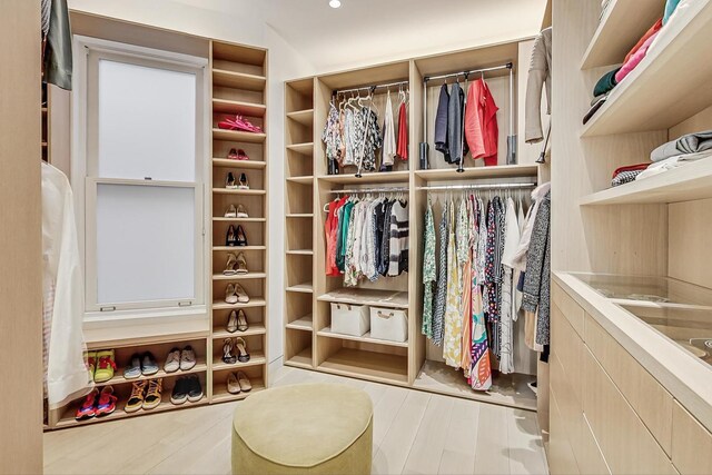 walk in closet featuring wood finished floors