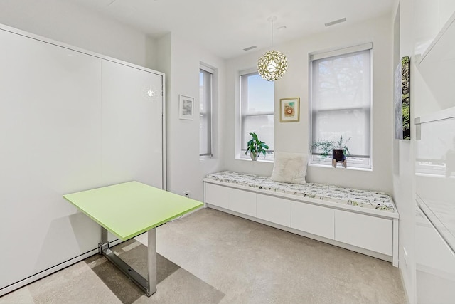 bathroom with finished concrete floors