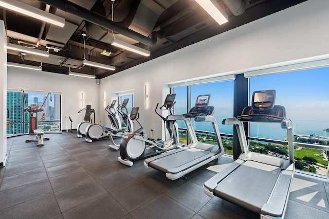 exercise room with a wealth of natural light