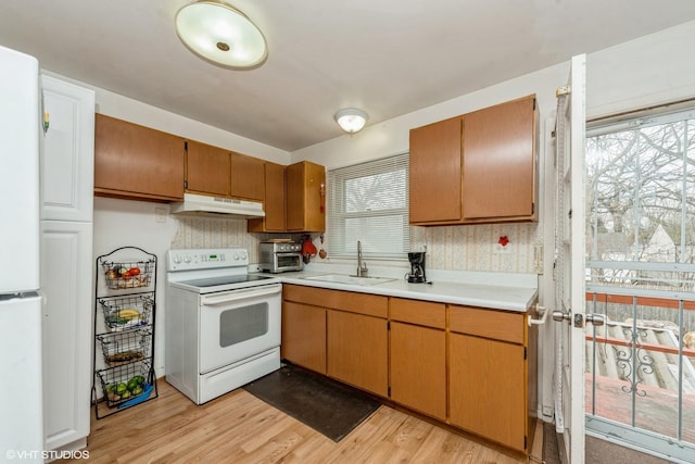 kitchen featuring tasteful backsplash, sink, white appliances, and light wood-type flooring