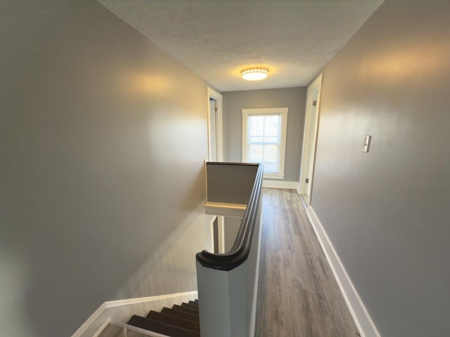 stairs featuring hardwood / wood-style flooring and a textured ceiling