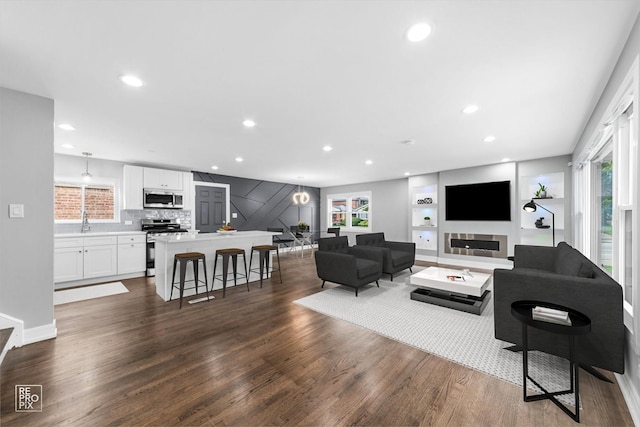 living room featuring dark hardwood / wood-style flooring, sink, and built in features