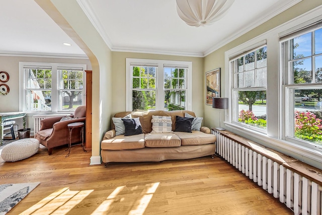 sunroom featuring radiator