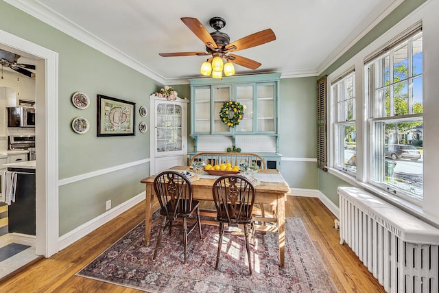 dining area featuring ceiling fan, ornamental molding, radiator, and light hardwood / wood-style floors