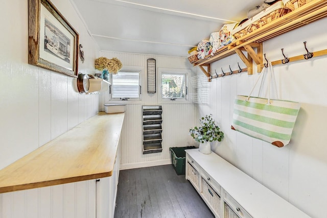 mudroom featuring dark hardwood / wood-style flooring