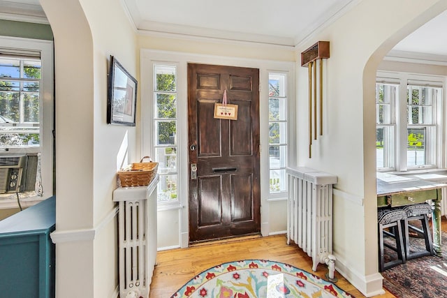 foyer entrance featuring crown molding, a healthy amount of sunlight, radiator heating unit, and light wood-type flooring