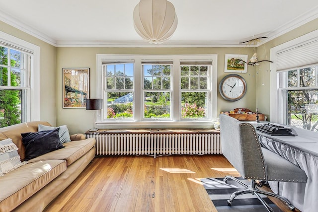 sunroom / solarium featuring radiator