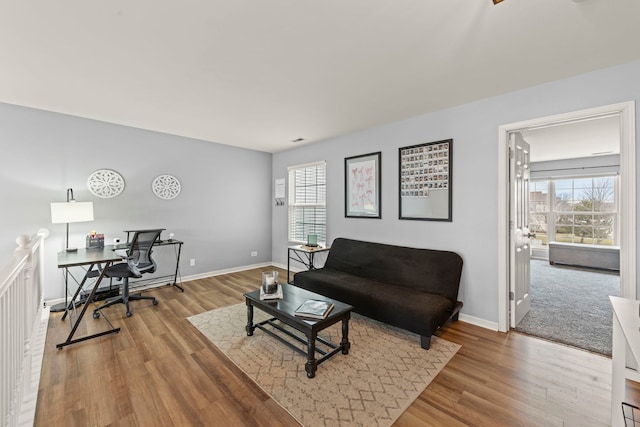 living room with hardwood / wood-style floors and a wealth of natural light