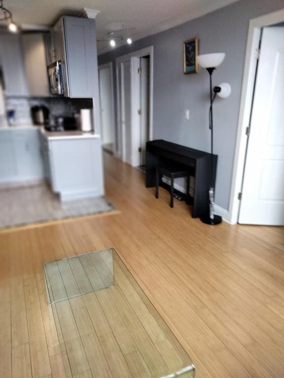 kitchen featuring light hardwood / wood-style floors and gray cabinetry