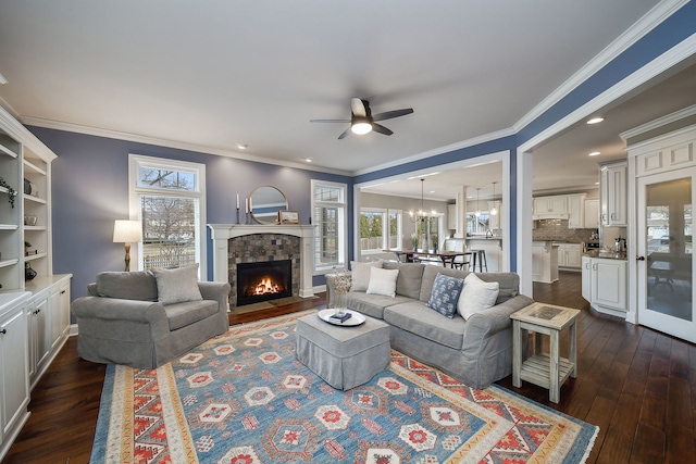 living room with ceiling fan with notable chandelier, ornamental molding, a fireplace, and dark wood finished floors