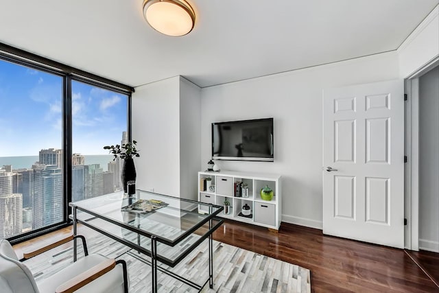 office with hardwood / wood-style flooring and expansive windows