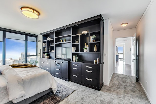 carpeted bedroom with a wall of windows