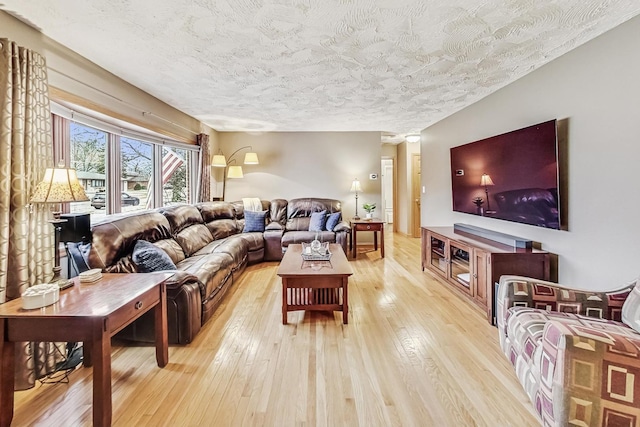 living room with a textured ceiling and light hardwood / wood-style floors