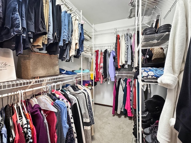 spacious closet featuring carpet floors