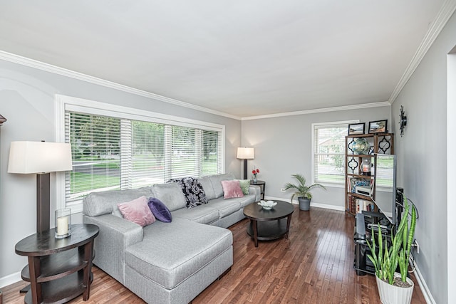 living area featuring crown molding, baseboards, and wood finished floors