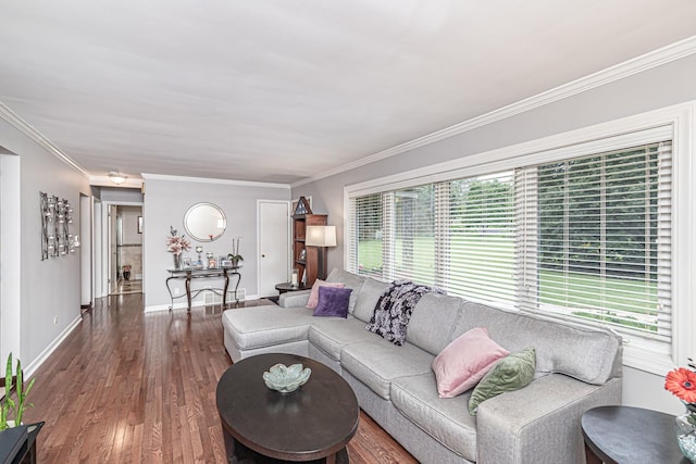 living area featuring wood finished floors, baseboards, and ornamental molding