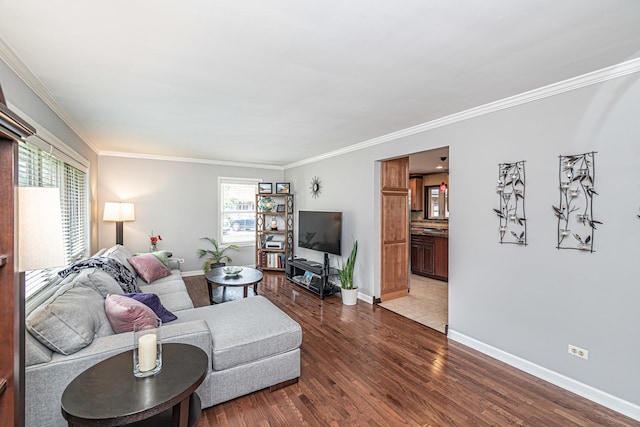 living area featuring crown molding, baseboards, and dark wood-style floors