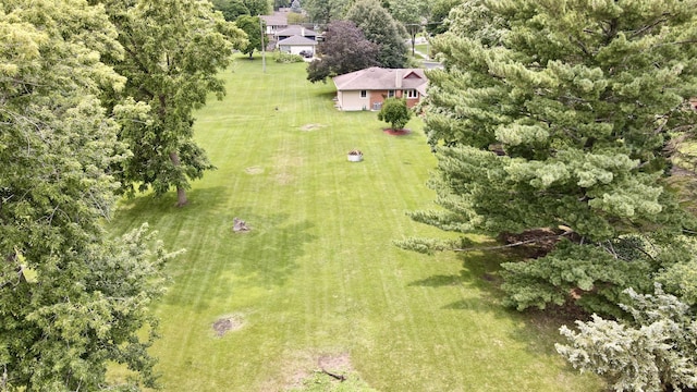 bird's eye view