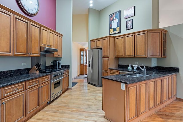 kitchen with sink, light hardwood / wood-style flooring, dark stone counters, stainless steel appliances, and a high ceiling