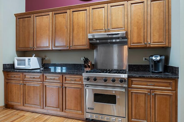 kitchen featuring dark stone countertops, luxury range, and light hardwood / wood-style flooring