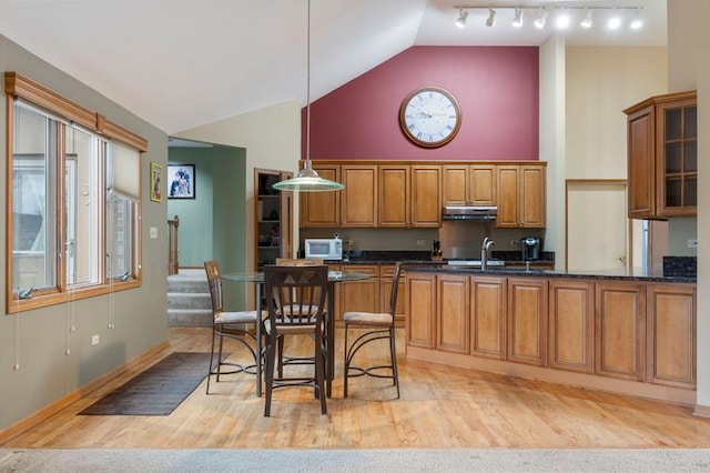 kitchen with hanging light fixtures, a wealth of natural light, sink, and light wood-type flooring