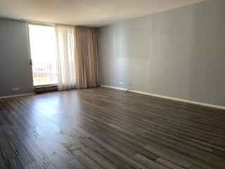 empty room with dark hardwood / wood-style floors