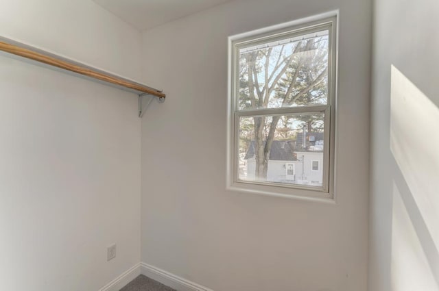 spacious closet with carpet floors