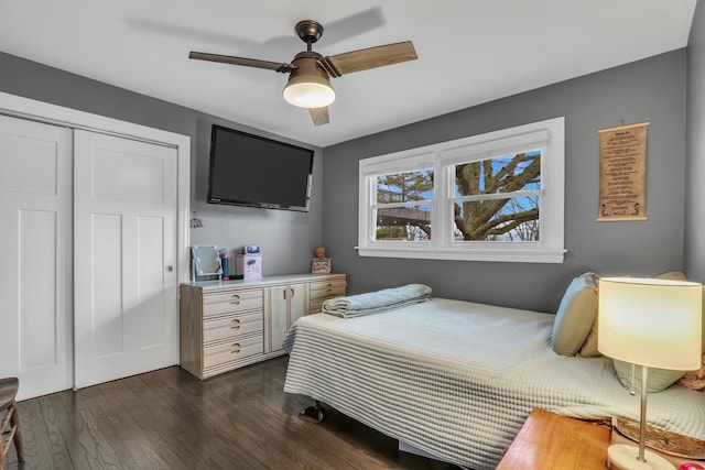 bedroom with dark hardwood / wood-style flooring, a closet, and ceiling fan