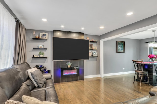 living room with a tiled fireplace and wood-type flooring